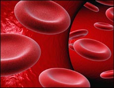 Онлайн тест по биологии на тему «Кровь и состав крови»